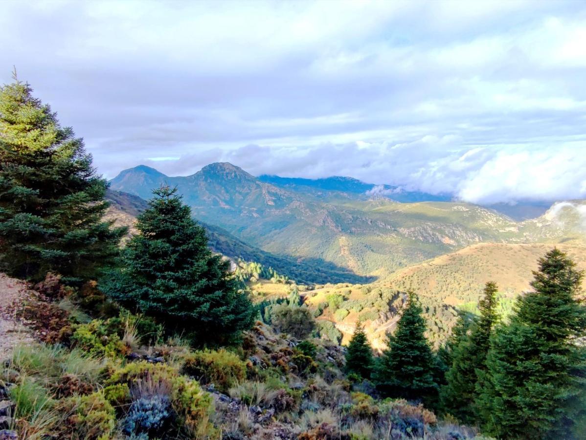 La Casa Del Naturalista El Bosque Eksteriør billede