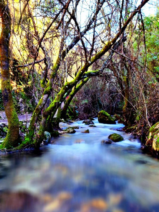 La Casa Del Naturalista El Bosque Eksteriør billede