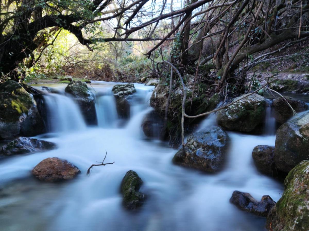 La Casa Del Naturalista El Bosque Eksteriør billede