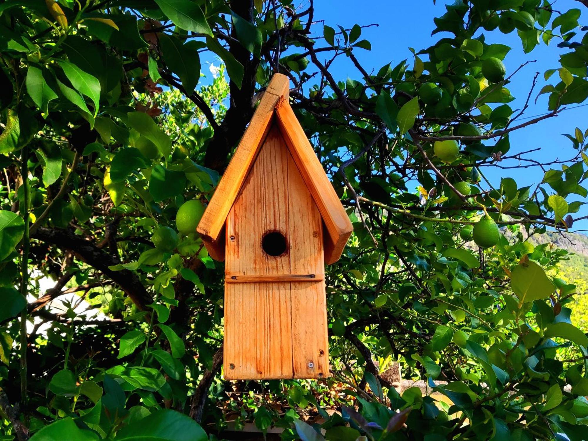 La Casa Del Naturalista El Bosque Eksteriør billede